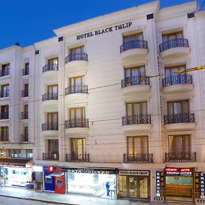 Black Tulip 4* Istambul